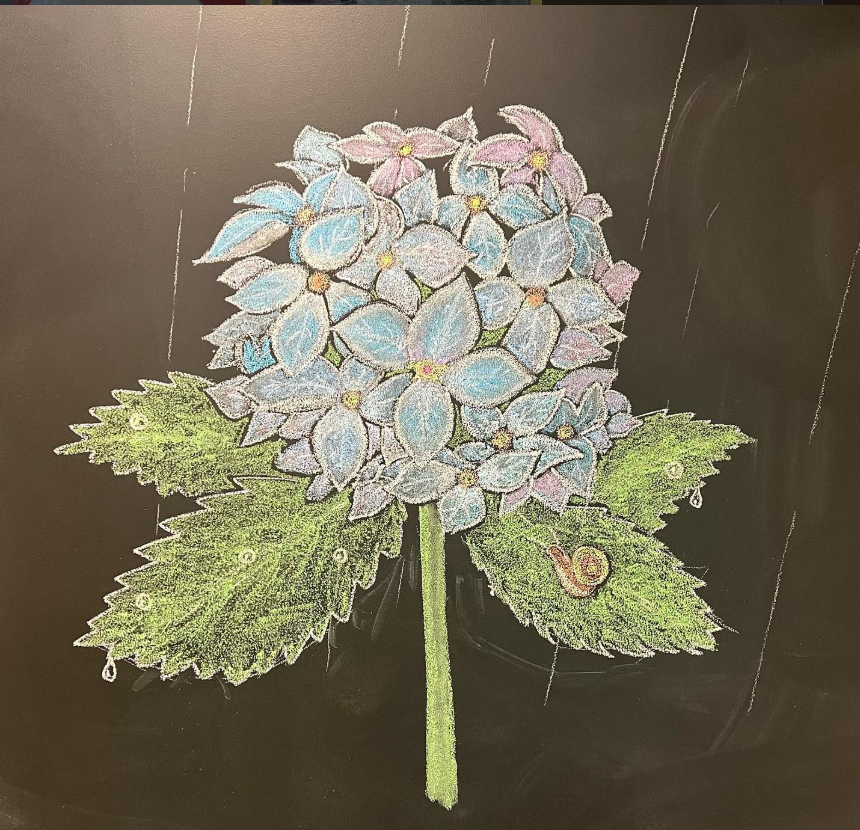 繡球花的季節