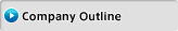 Company Outline