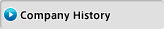 Company History